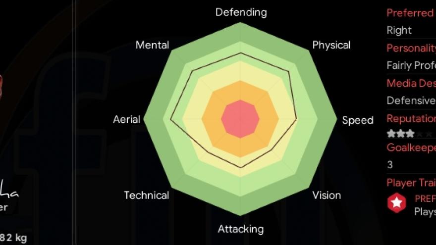 Football Manager x-rays: Joao Palhinha