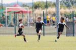 Εβδομάδα σπουδαίων εμπειριών για το PAOK Academy