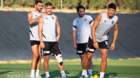 Δουλειά και αποφάσεις με φόντο την Αυστρία