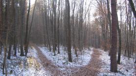 Ο ΠΑΟΚ σε κρίσιμο σταυροδρόμι