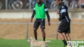 Απροσδόκητος ... εισβολέας στην προπόνηση