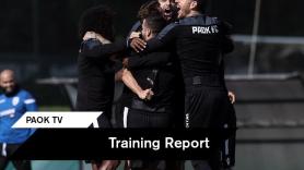 Παιχνίδια σε μικρές εστίες (vid)