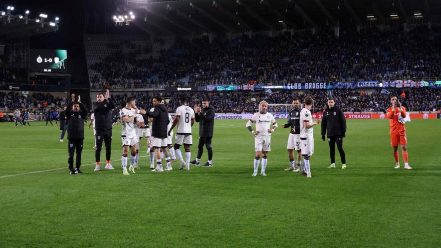 bruggepaok