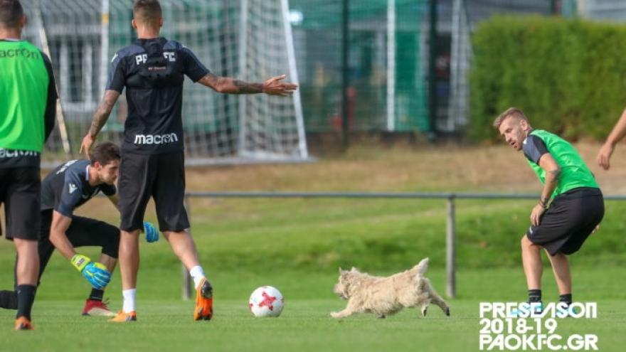Το «ντου» στην προπόνηση του ΠΑΟΚ