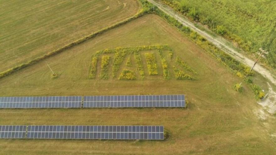 Τρέλα για τον ΠΑΟΚ : Σχημάτισε τα τέσσερα γράμματα σε χωράφι! (pics)