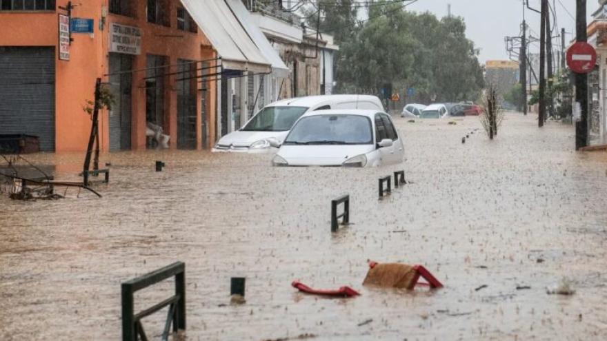 Η κίνηση της οικογένειας Κωνσταντέλια